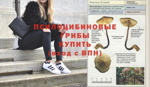 первитин Медвежьегорск