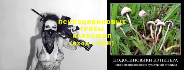 прущая мука Медногорск