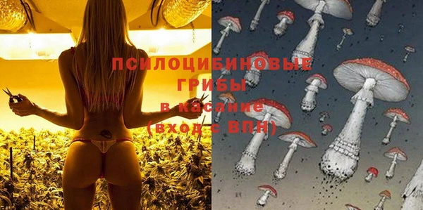 apvp Мегион