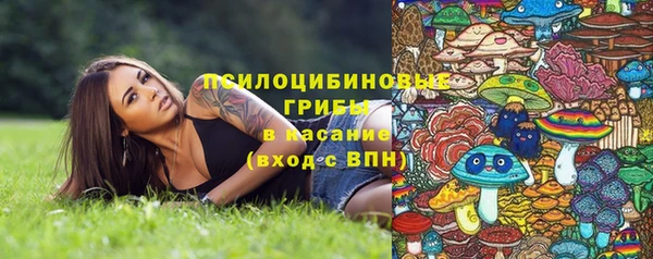 apvp Мегион