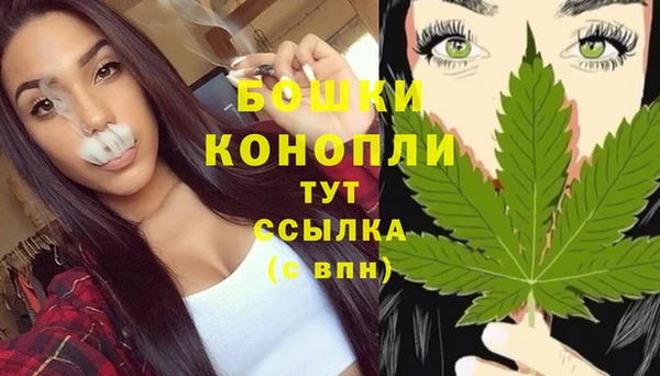 apvp Мегион