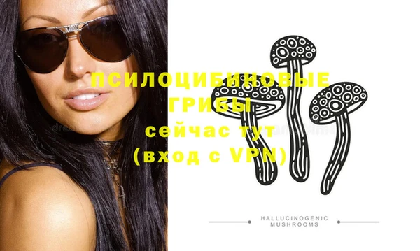 первитин Медвежьегорск