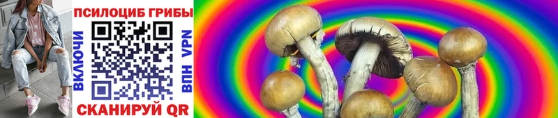 Галлюциногенные грибы Magic Shrooms  Волжский 