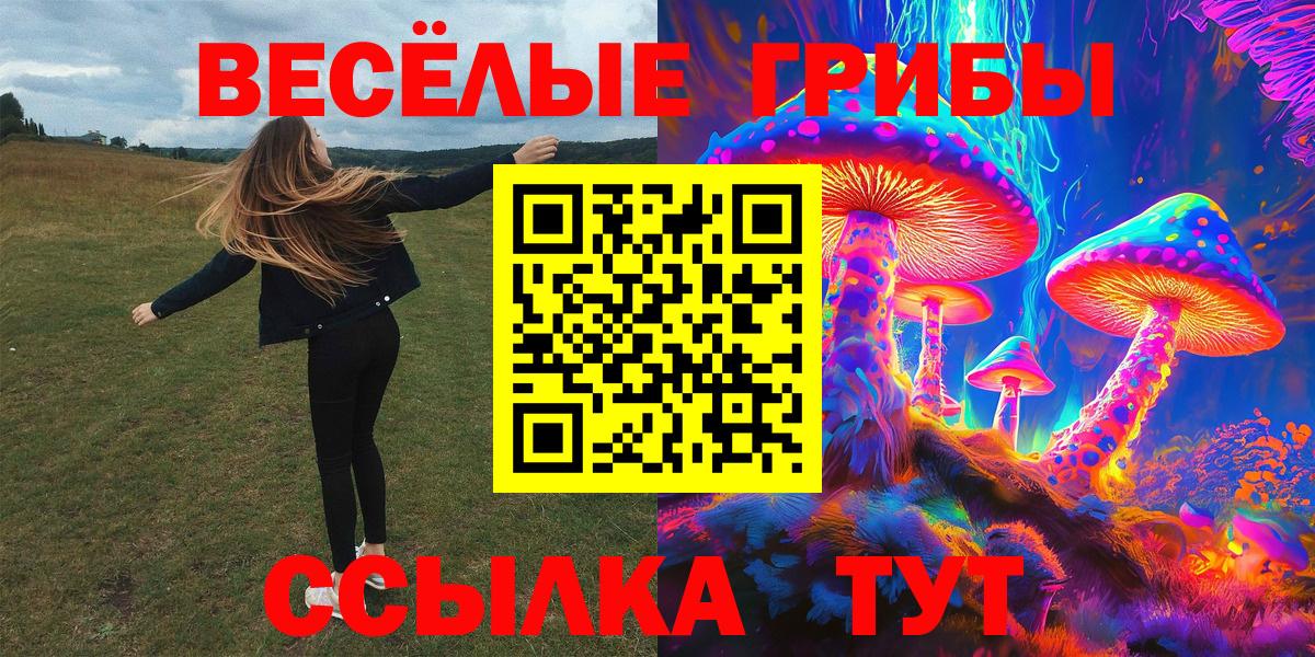 купить   Галлюциногенные грибы GOLDEN TEACHER  Вход с VPN  Волжский 